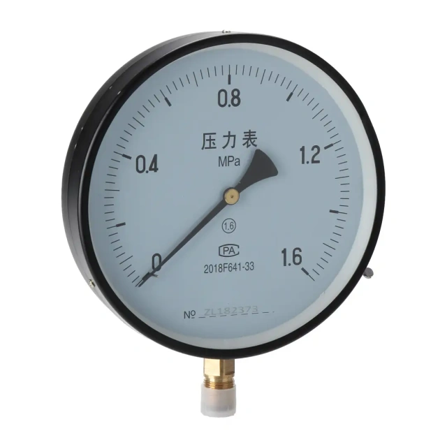 Y200 General Pressure Gauge 200mm