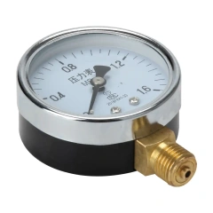 Y60 General Pressure Gauge