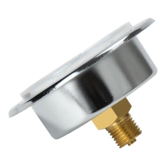 Y60-ZT Series Axial Pressure Gauge With Flange Edge