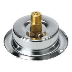 Y60-ZT Series Axial Pressure Gauge With Flange Edge