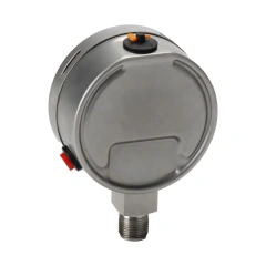 YB100 Precision Digital Pressure Gauge