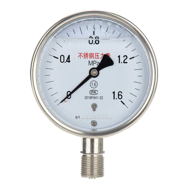 YN100-ZT Axial Shock-Proof Pressure Gauge With Behind Flange Edge