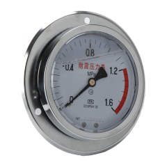 YN100-ZT Axial Shock-Proof Pressure Gauge With Behind Flange Edge