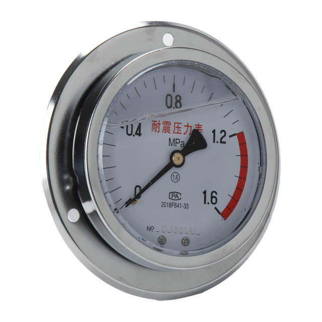 YN100-ZT Axial Shock-Proof Pressure Gauge With Behind Flange Edge
