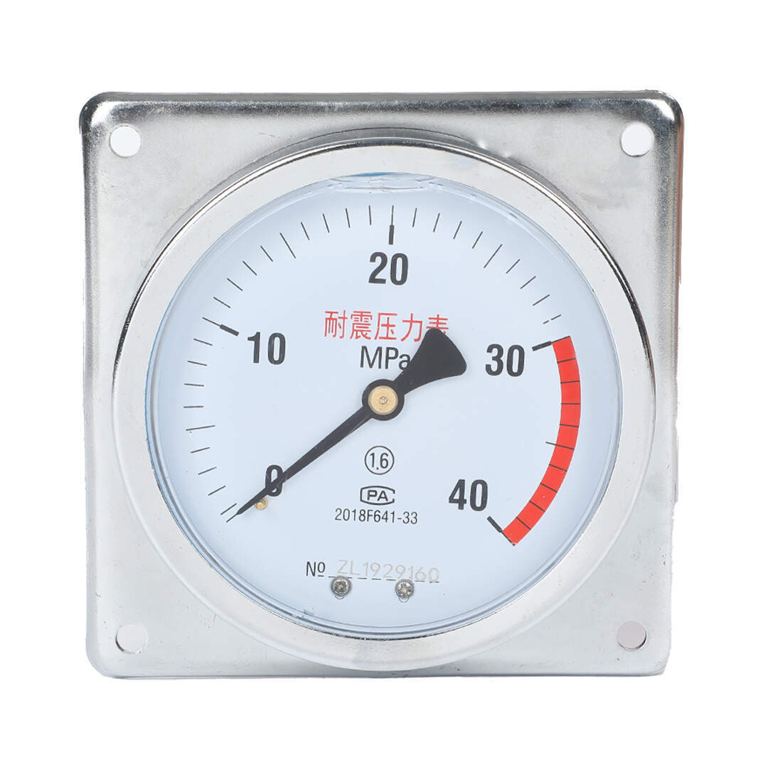 YN100-ZT Axial Shock-Proof Pressure Gauge With Behind Flange Edge