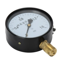 YTH100 Series High Temperature Pressure Gauge