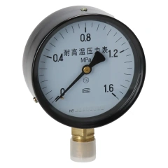 YTH100 Series High Temperature Pressure Gauge