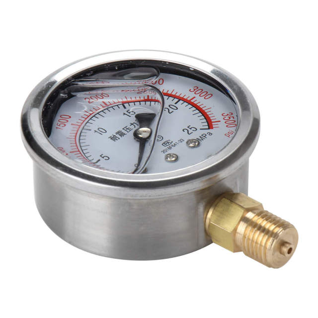 YN60 Shock-Resistant Pressure Gauge