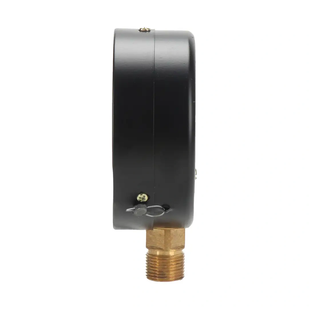 Z100 Vacuum Gauge