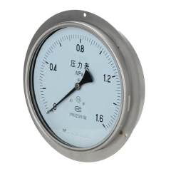Y200BFZT Stainless Steel Axial Pressure Gauge With Flange Edge