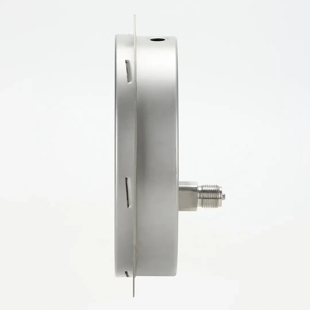 Y200BFZT Stainless Steel Axial Pressure Gauge With Flange Edge