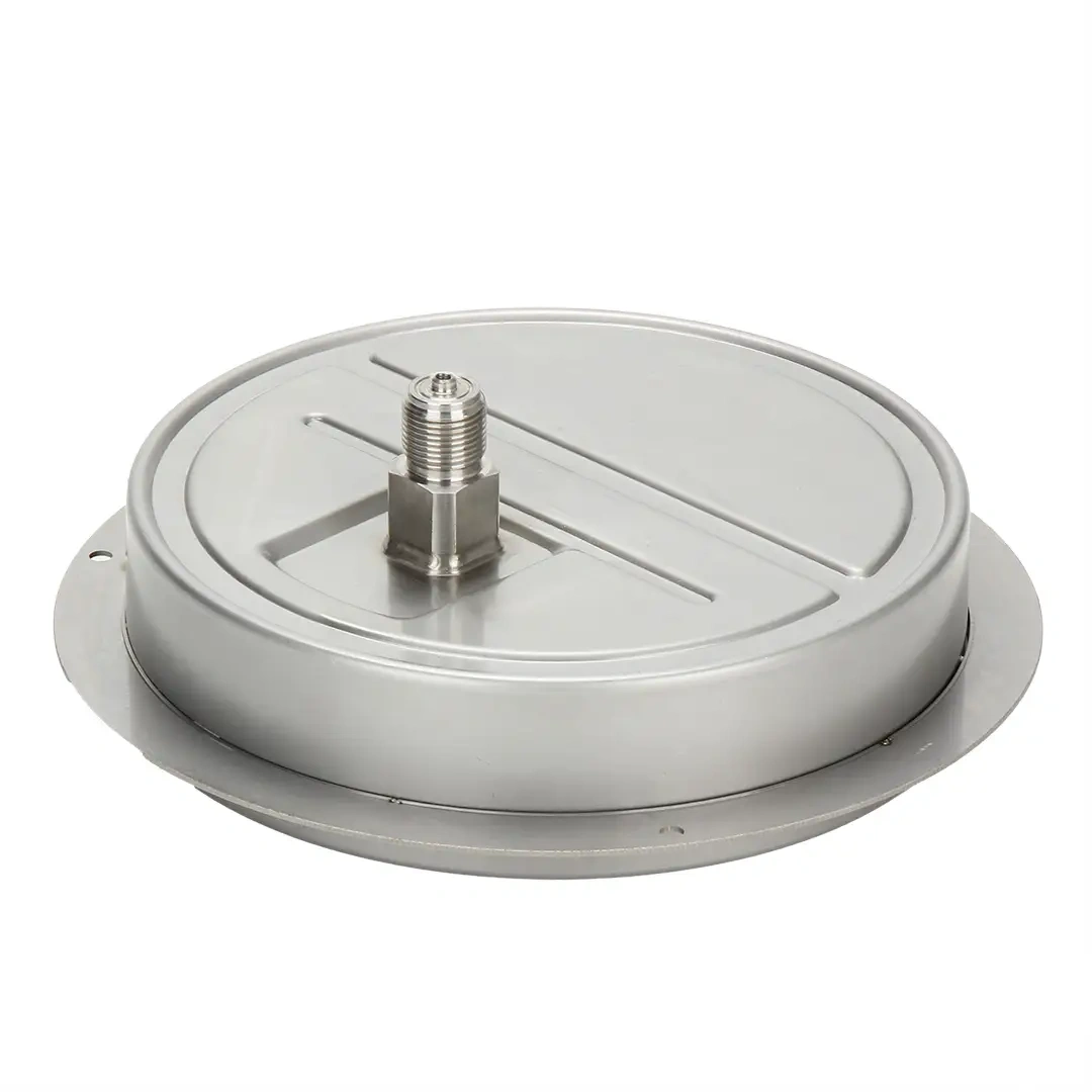 Y200BFZT Stainless Steel Axial Pressure Gauge With Flange Edge