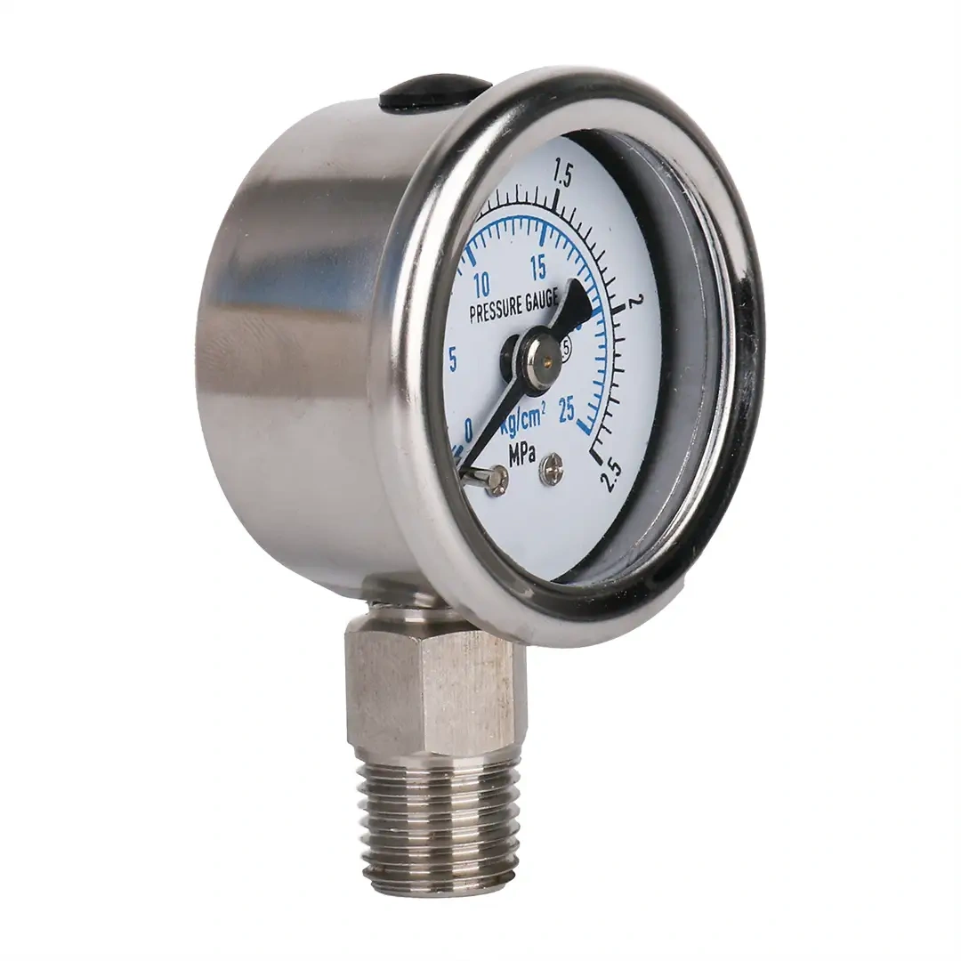 Y60-BF Stainless Steel Pressure Gauge