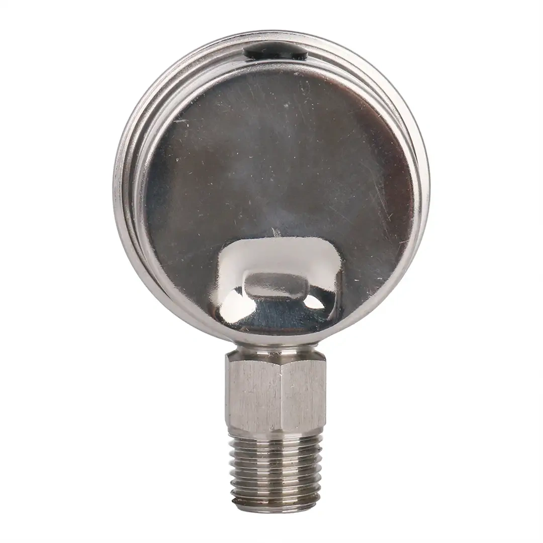 Y60-BF Stainless Steel Pressure Gauge