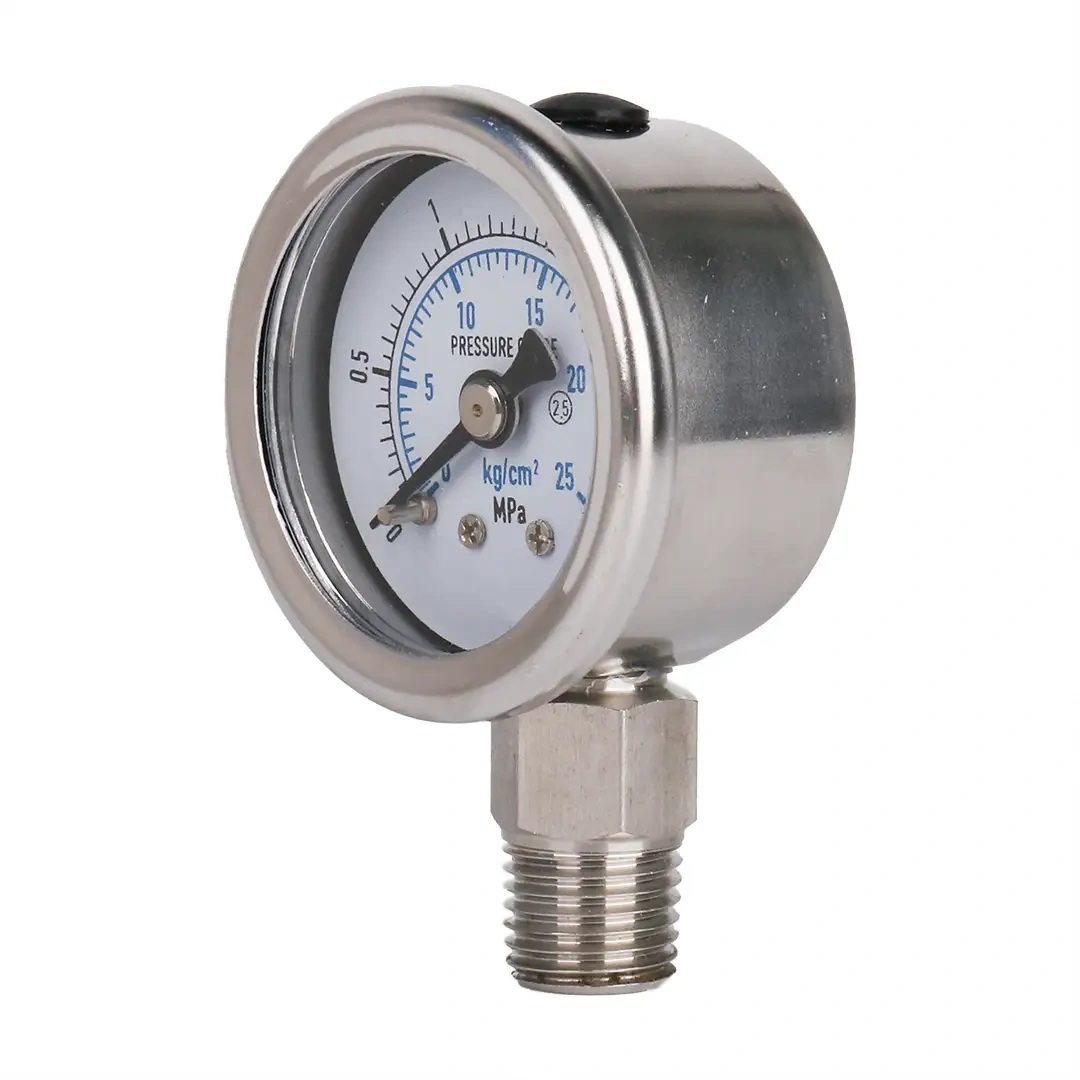 Y60-BF Stainless Steel Pressure Gauge
