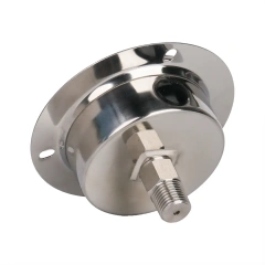 Y60-BFZT Stainless Steel Axial Pressure Gauge With Flange Edge
