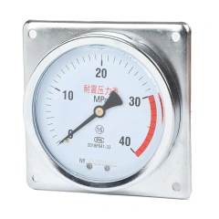 YN100ZT Axial Shock-Proof Pressure Gauge With Behind Flange Edge(Square Edge)