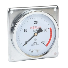 YN100ZT Axial Shock-Proof Pressure Gauge With Behind Flange Edge(Square Edge)