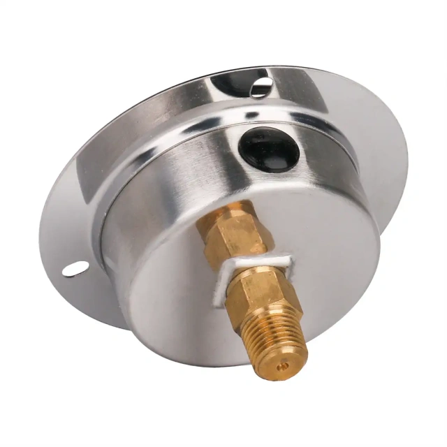 YN60-BFZT Stainless Steel Shock-Proof Axial Pressure Gauge With Flange Edge