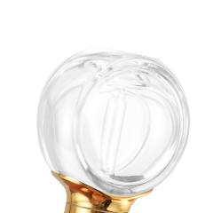 ESSENTIAL OIL DROPPER BOTTLE