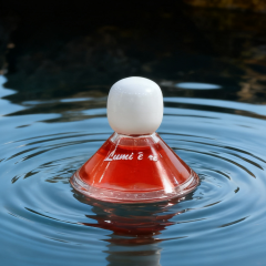 PERFUME BOTTLE