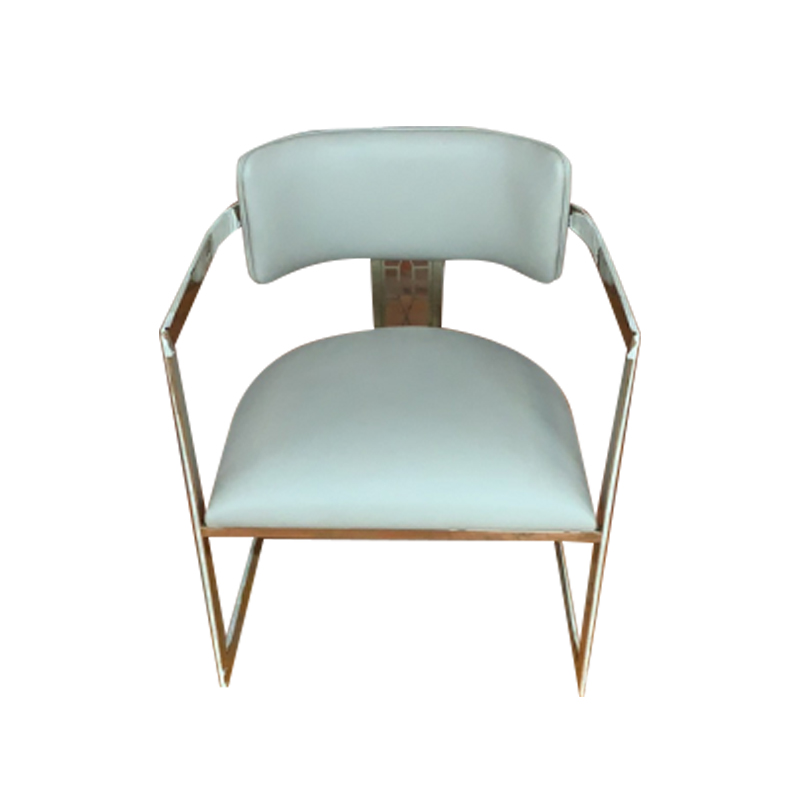 Stylish Metal Leg Dining Chairs