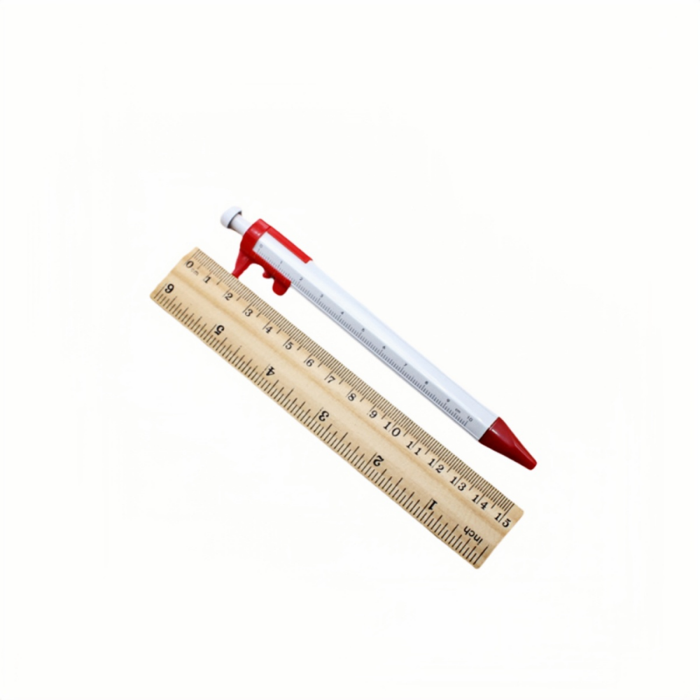 2-in-1 Pen with Ruler