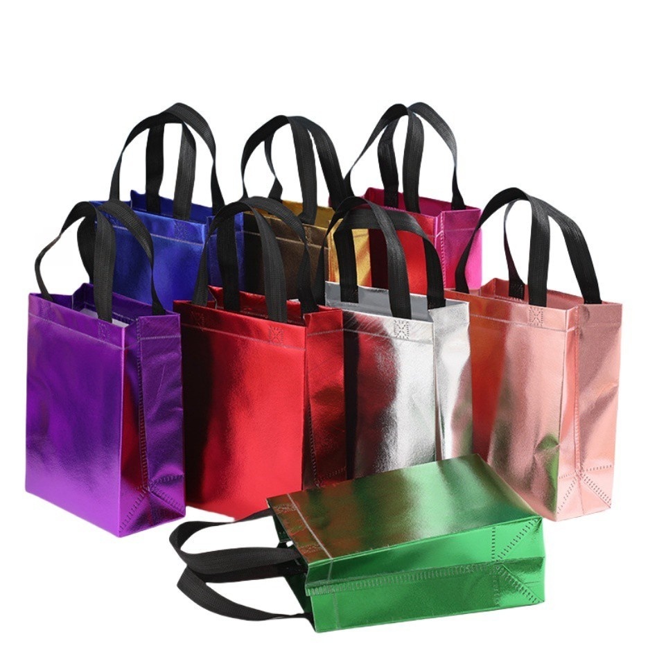 Non-Woven Gift Bag