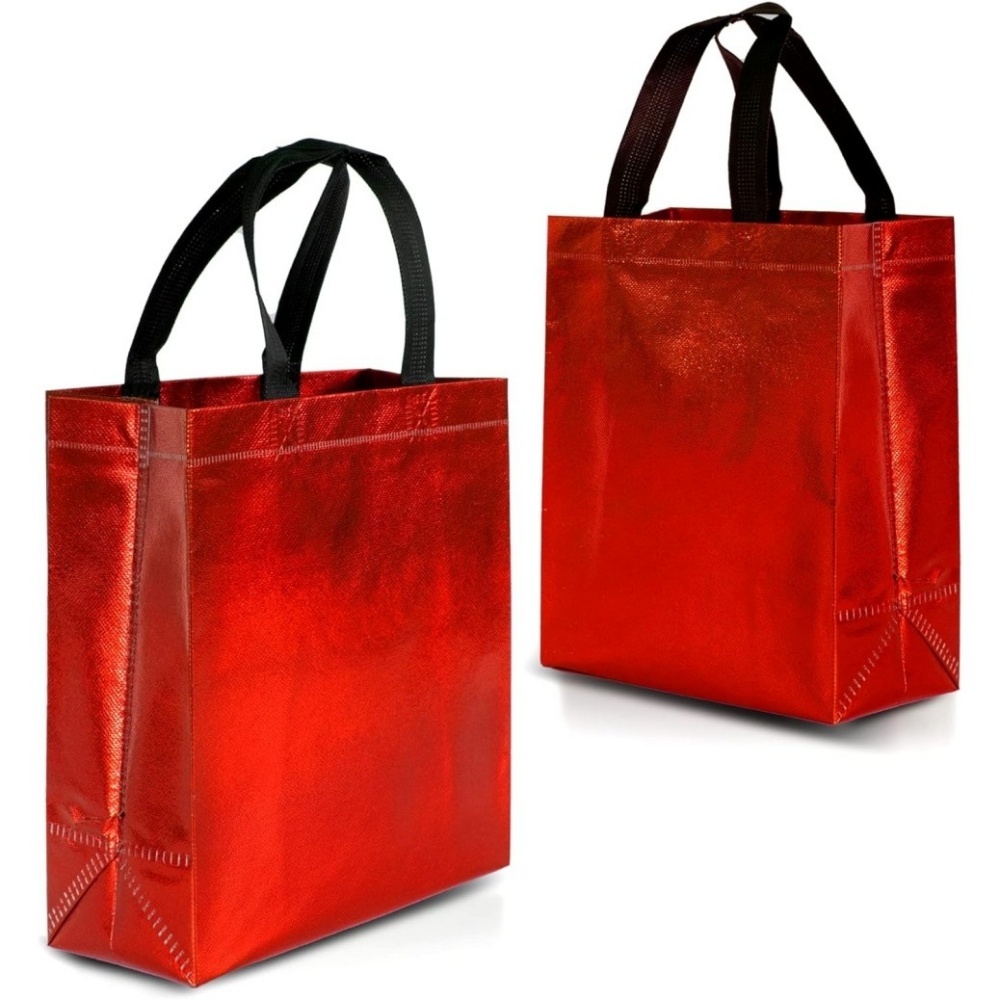 Non-Woven Gift Bag