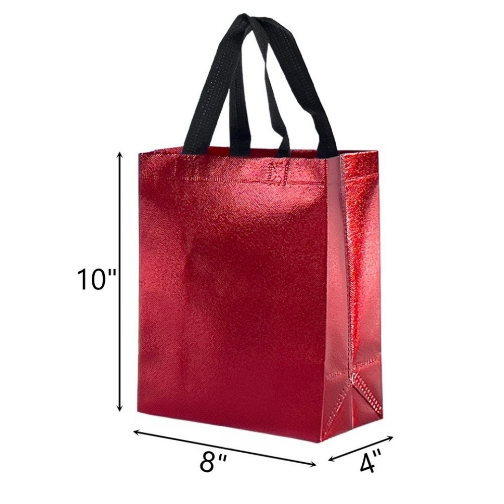 Non-Woven Gift Bag