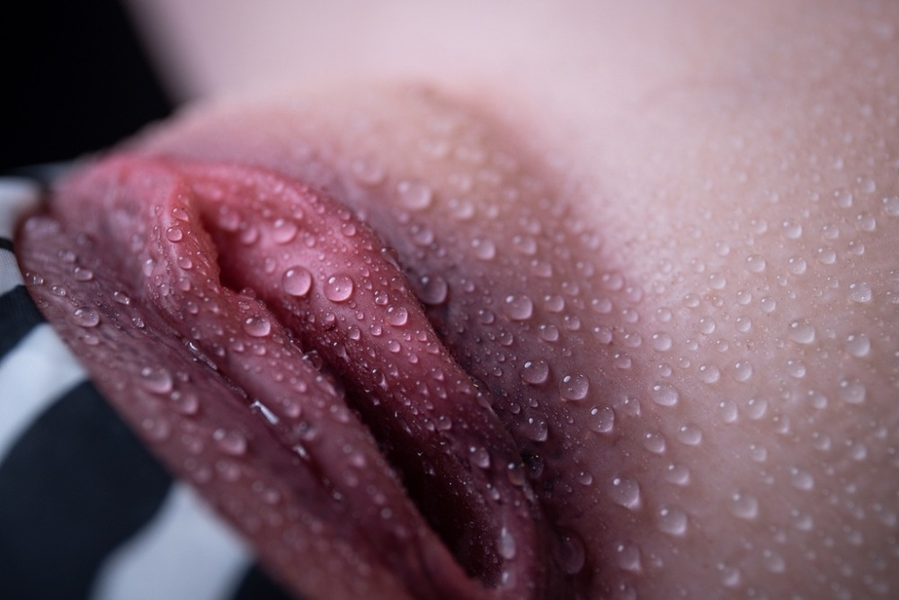 37.74LB 1:1 Life-Sized Pussy Ass Masturbator Big Ass Silicone Sex Doll LoveNestle Series Torso Sabrina LN-T-010 EVUSFD00090 [US Stock]