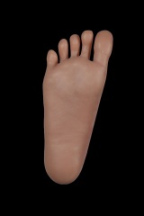 Stand-Up(Hard Foot)