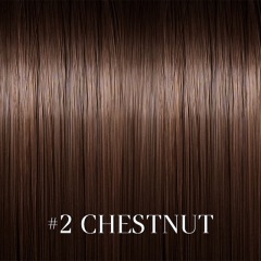 Chest Nut +(USD99)