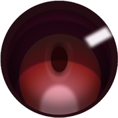 #11