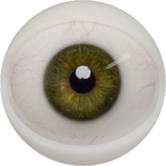 E10