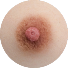 Tan