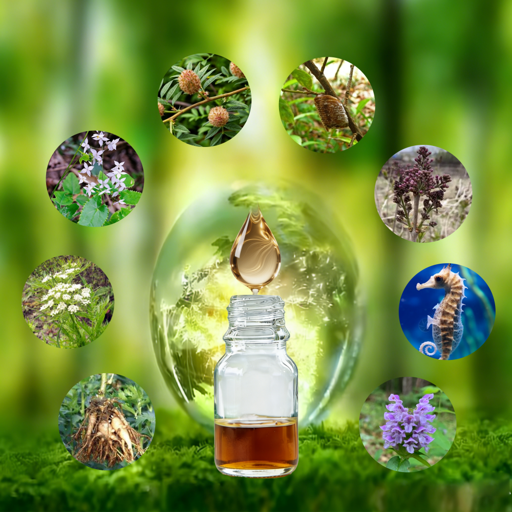 Kunniu Hippocampus Kidney - Yang Health - Care Liquid   NO.88*1bottle