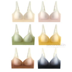 Gradient-color Beast Lifting Deep V-plunge Jelly Gel Support One-piece Bra