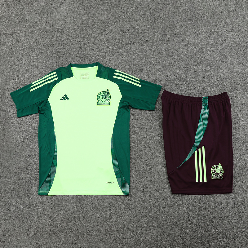 2024-25 Mexico Short-sleeved training clothese