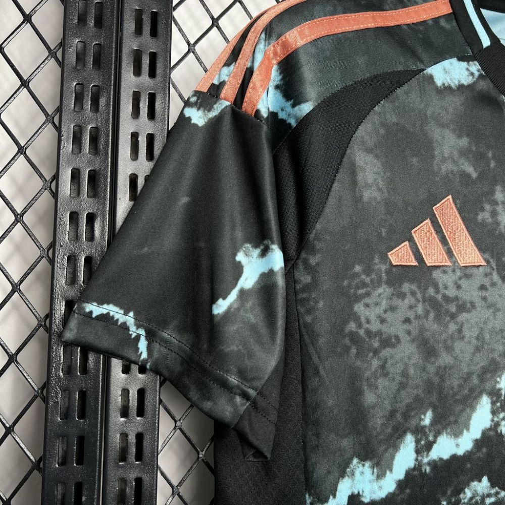 2024-25 Bayern Munchen Away football jersey
