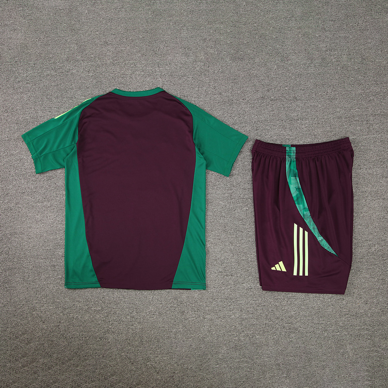 2024-25 Mexico Short-sleeved training clothese