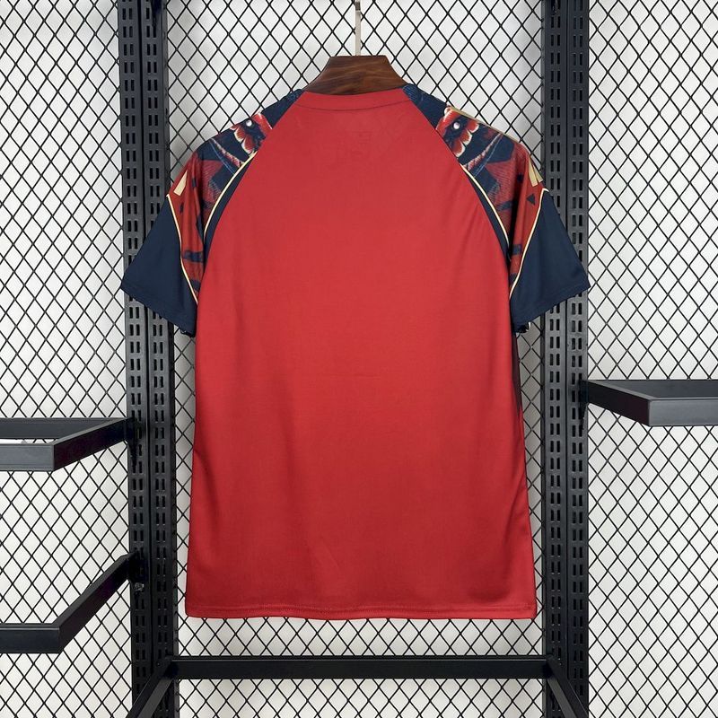 2025-26 Manchester United Special Edition Football jersey