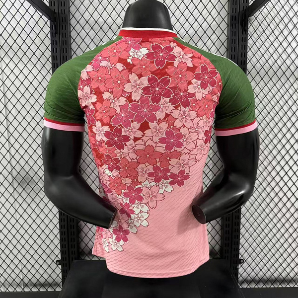Player 2024-25 Japan Especial Football jersey