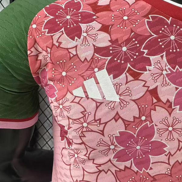 Player 2024-25 Japan Especial Football jersey