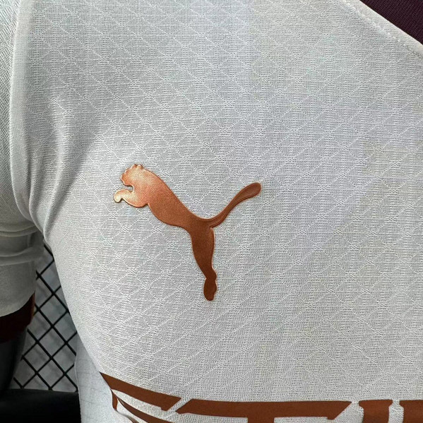 Player 2023-24 Manchester City Away Football jersey