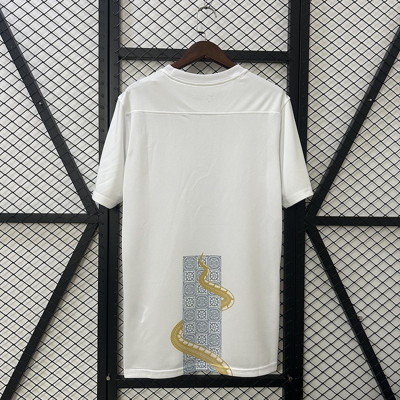 2025-26 Tottenham Especial Football jersey