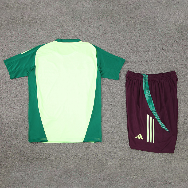 2024-25 Mexico Short-sleeved training clothese