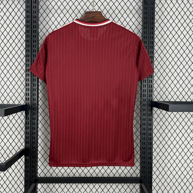 2025-26 Bayern Munchen Terrace Icons Football jersey