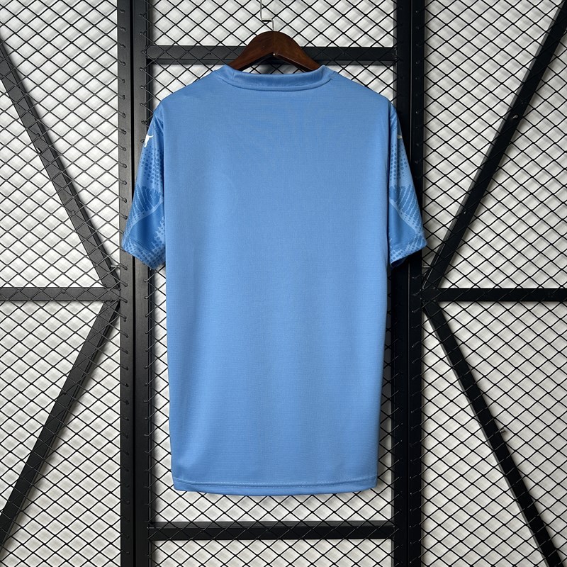 2025-26 Palmeiras Goalkeepe Football jersey