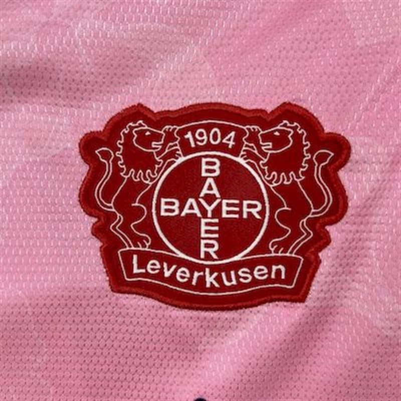 2025-26 Leverkusen Bayer 04 Away Football jersey